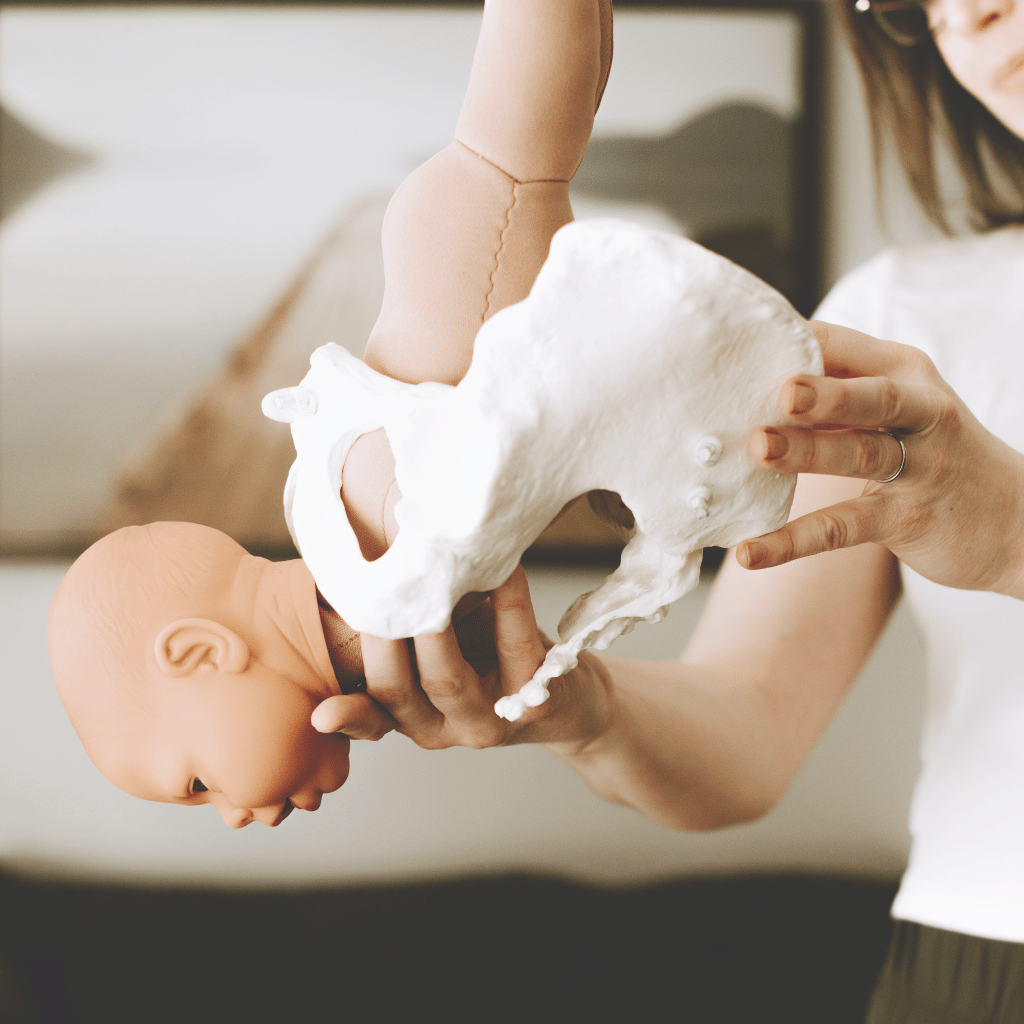 prenatal class childbirth education doula